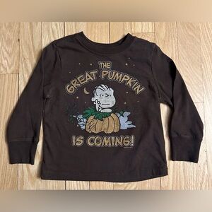 Peanuts The Great Pumpkin Is Coming Lon-Sleeved Brown Toddler T-Shirt, Size 2T